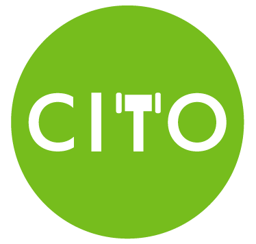 CITO Debt Consolidation Software